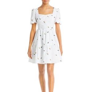 Endless Rose Floral Embroidered Mini Dress 💐